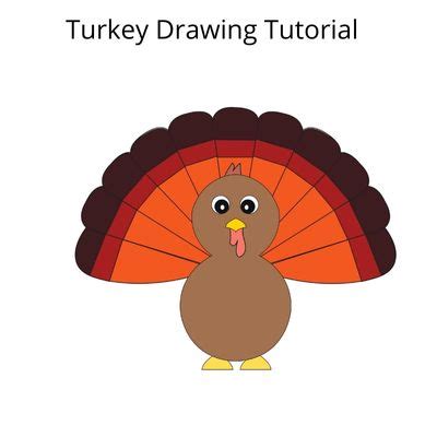 Image result for How Draw Turkey
