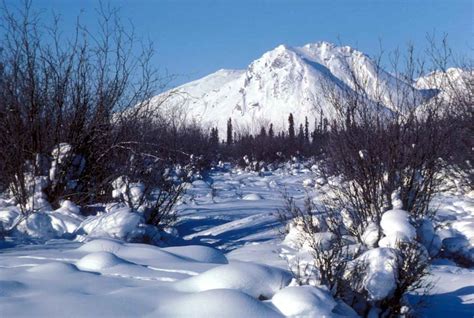 Arctic Tundra Winter Landscape