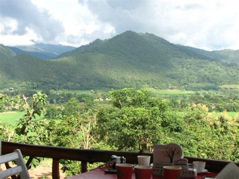Famous coffee shop in Pai - Reviews, Photos - Coffee in Love - Tripadvisor