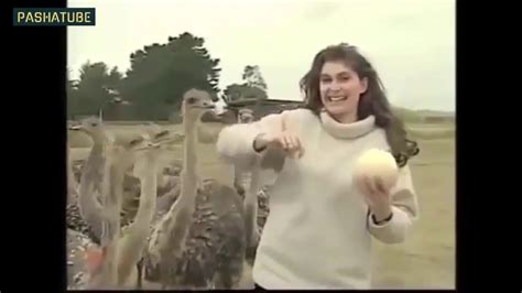 Animal Bloopers Compilation 的图像结果