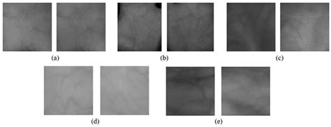 Hybrid Feature Extractor Using Discrete Wavelet Transform and Histogram ...