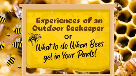 Experiences of an Outdoor Beekeeper - or What to do if Bees Get in Your ...