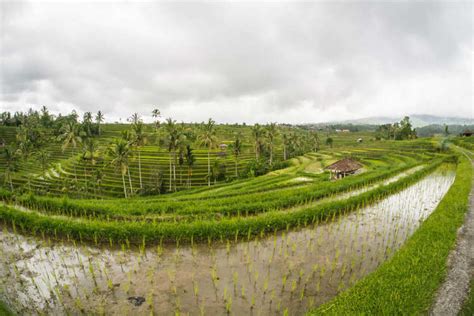 Bali Photos | Bali Images | Bali Pictures | Times of India Travel