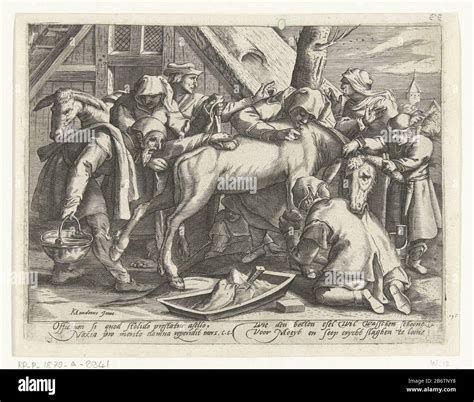 Het wassen van de ezel a group of men trying to wash a donkey. The men ...