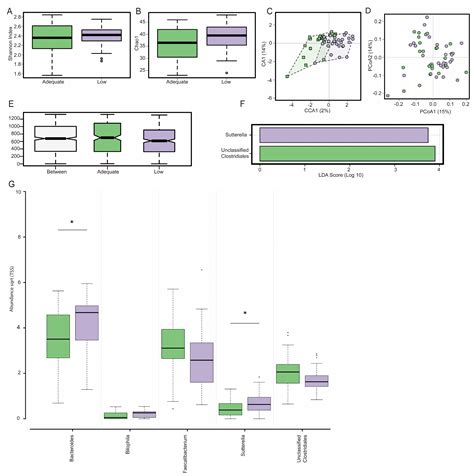 Dietary Fibre Modulates Gut Microbiota in Late Pregnancy Without ...
