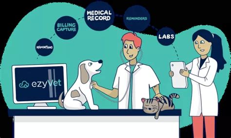 Ezyvet Tutorial Bundle 的图像结果