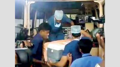 Covid effect: Cadaver organ donations in Karnataka decrease by 75% ...