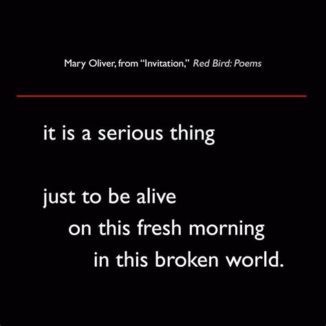 Mary Oliver from Invitation Red Bird: Poems #quote #poetry #lit # ...