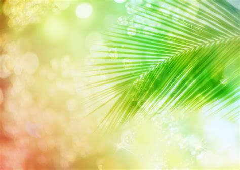 🔥 [50+] Palm Leaf Wallpapers | WallpaperSafari
