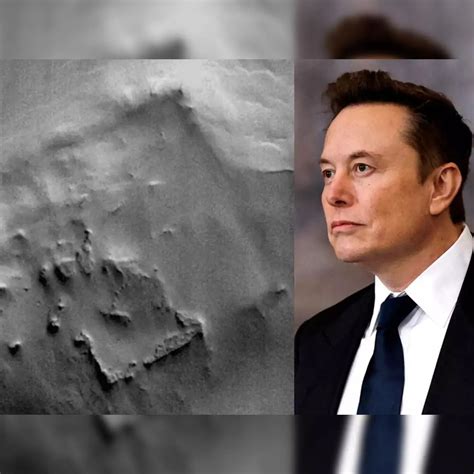 Alien Life 的图像结果