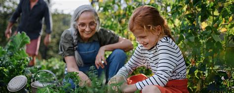 Revocable vs. Irrevocable Trusts: What to Know | Capital One