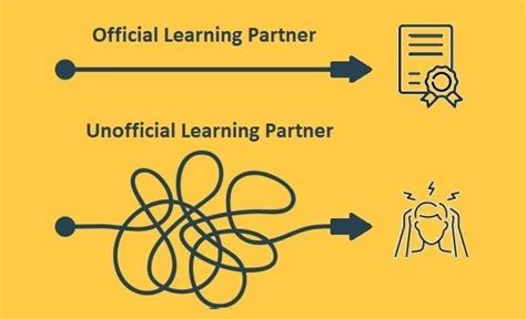 3 Learning Partner 的图像结果