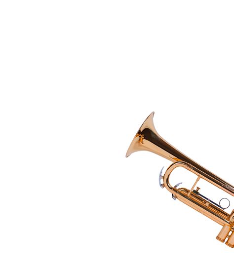 Fire Trumpet - 8Dio Solo Latin Trumpet for Kontakt VST/AU/AAX – 8dio.com