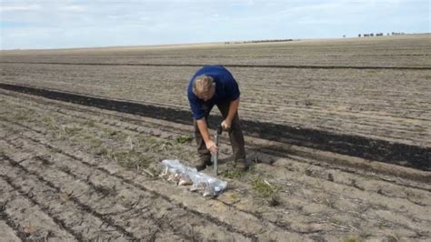 Image result for Soil Sampling