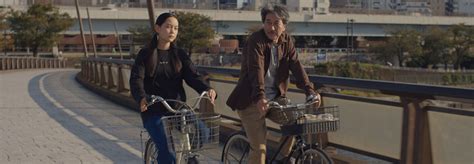 Image result for Perfect Days Book