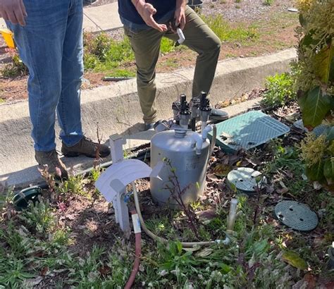 Weta Program 的图像结果