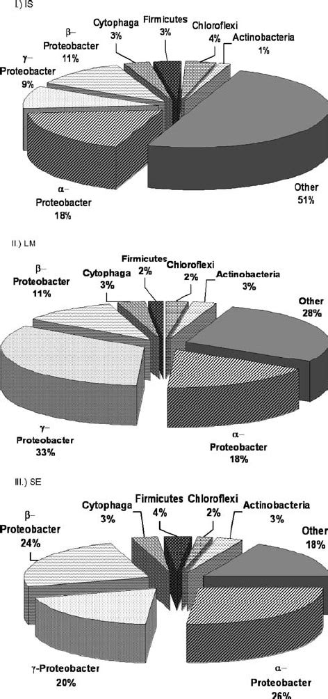 Image result for Understanding Fish Graphs