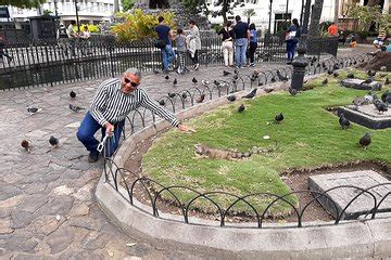 Guayaquil City Guided Walking Tour 2025 - Viator