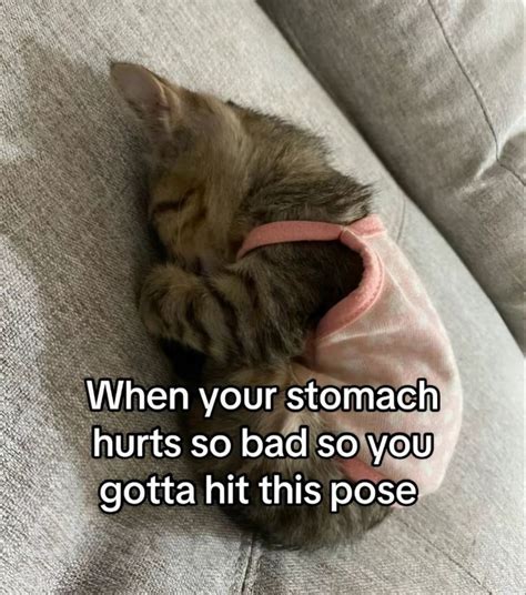 Pin by 𝒮𝒶𝓇𝒶 on same in 2025 | Relatable post funny, Really funny memes, Relatable