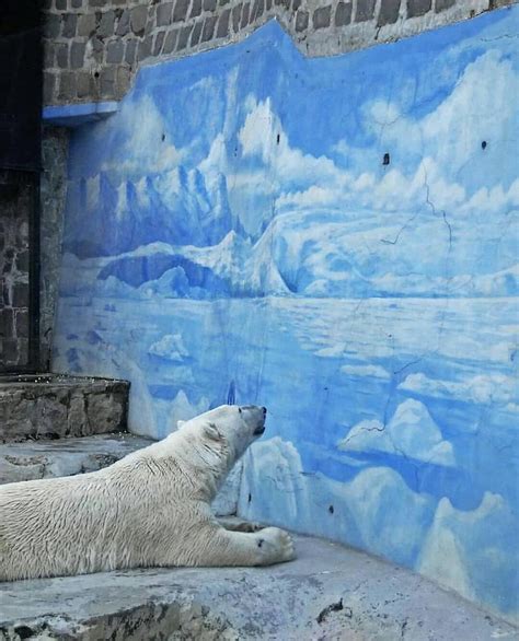 Image result for Tesla Hyperloop