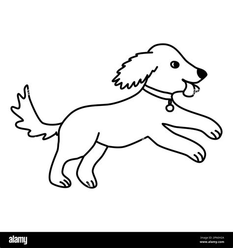 Dog Running In Shoe Store at Eula Lofgren blog