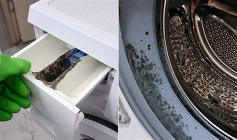 Image result for How to Clean Washing Machine Drawer Mould