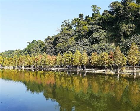 DAXI YUEMEI CONSTRUCTED WETLAND ECOLOGICAL PARK (2026) All You Need to ...
