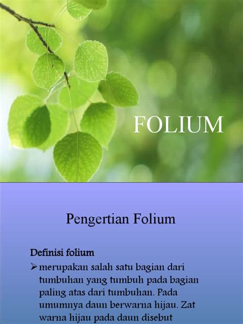 Image result for Folium Tutorial