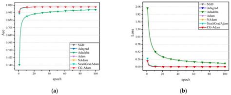 An Improved Adam’s Algorithm for Stomach Image Classification