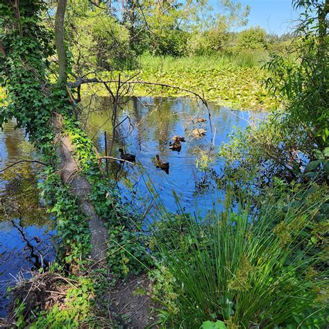 CARRIE BLAKE PARK (2026) All You Need to Know BEFORE You Go (with ...