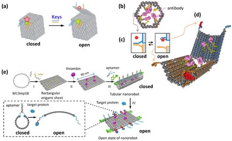 Image result for DNA Origami Applications