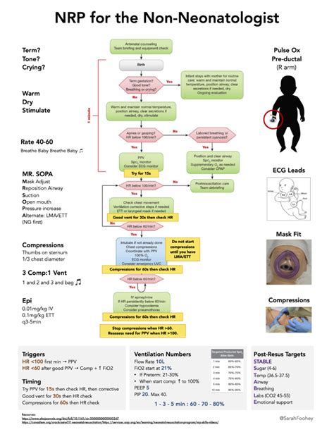 Image result for NRP Resuscitation Algorithm