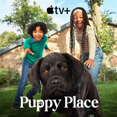 Puppy Place Book Series