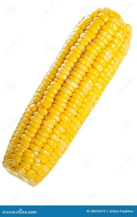What Is A Corn Ear at James Earle blog