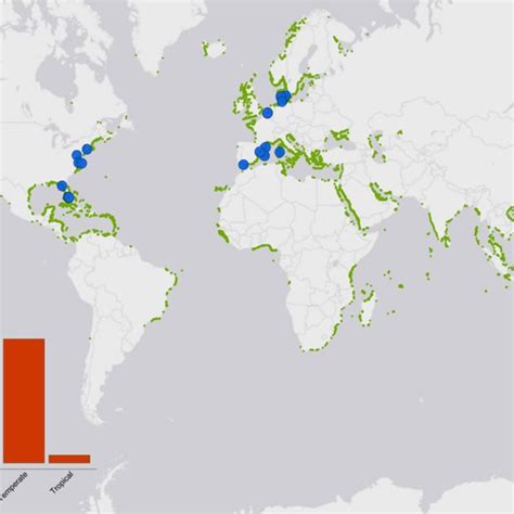 Image result for Meta Locator Map
