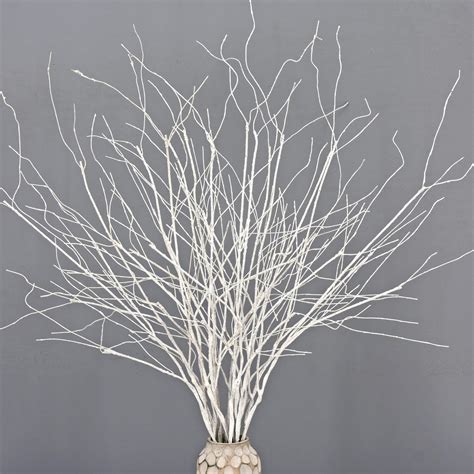 Amazon.com: GHY Decor Curly Willow Branches Real Curly Branche Twigs ...