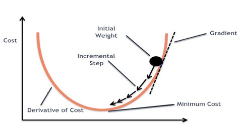 The Magic of Neural Networks- How Machines Learn and Make Decisions ...