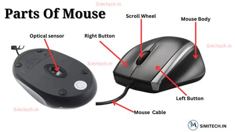 Image result for Computer Mouse Features