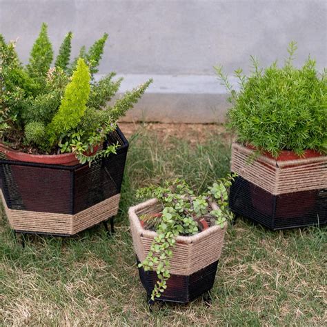 Handwoven Planters for Every Room | Sirohi