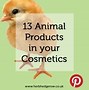 Image result for animal products