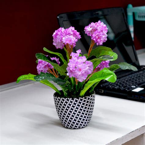 Buy DecoreBugs Artificial Flower Kali in Texture Pot (Height : 24 cm ...