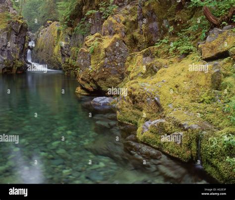 Opal creek wilderness oregon hi-res stock photography and images - Alamy