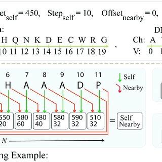 DNA Coding of Protien Tutorial 的图像结果