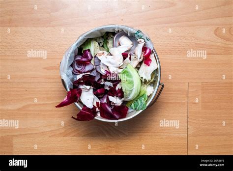 Food Waste 的图像结果