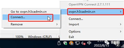 Find Network Devices Over OpenVPN 的图像结果