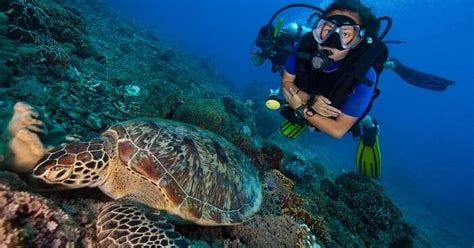 8 Outstanding Spots For Scuba Diving In Koh Samui In 2026