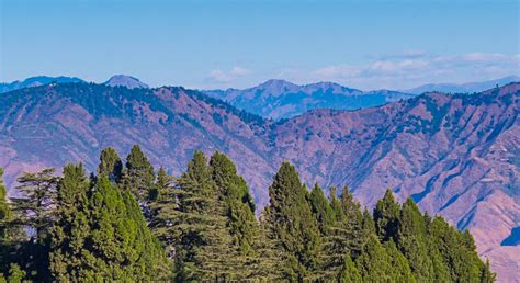 HOTEL PARK WOOD - MALL ROAD (Mussoorie) - Hotel Reviews, Photos, Rate ...