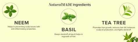 Buy Khadi Natural Neem, Teatree and Basil Herbal Hair Oil, Paraben ...