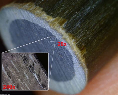 Image result for Magnification Examples