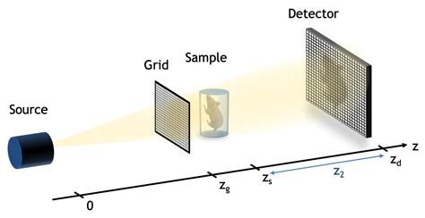 X-ray Phase Contrast Imaging from Synchrotron to Conventional Sources ...